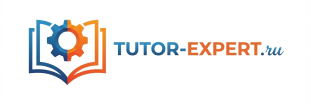 Tutor-Expert